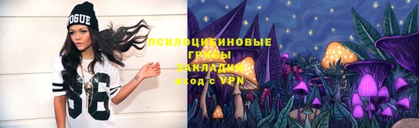МДПВ Липки